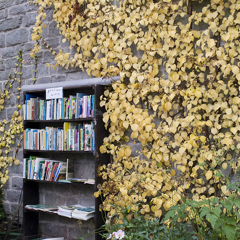 Au coeur des Black Mountains, l'étrange village où les habitants sont des livres 