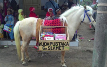 Indonésie: Luna, la petite jument sauvage devenue bibliothécaire-nomade pour enfants pauvres